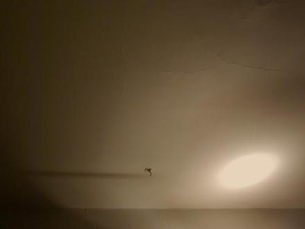 Invisible