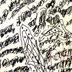 مانیفستی برای همین لحظه