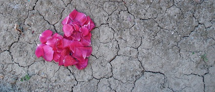  وای دلم