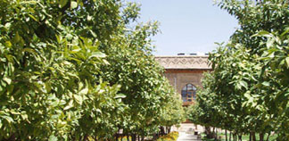 Pleasant state