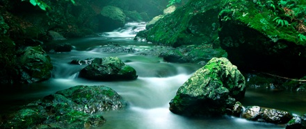 Follow the Stream