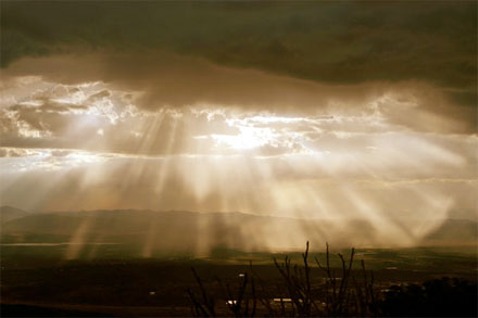 نچکیده