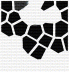 snowdecipher's picture