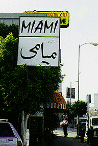 Miami.gif