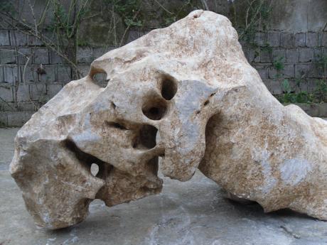Ramsar dinosaur follow up