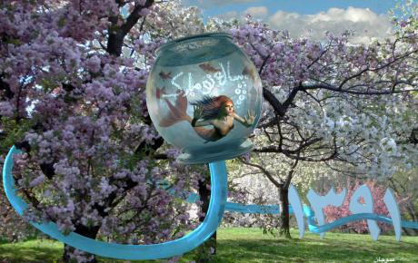 Norooz Piroz