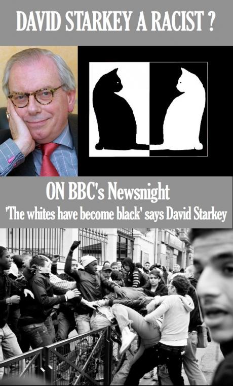 Historian David Starkey Triggers Controversy with “Whites Have Become Blacks” Comment