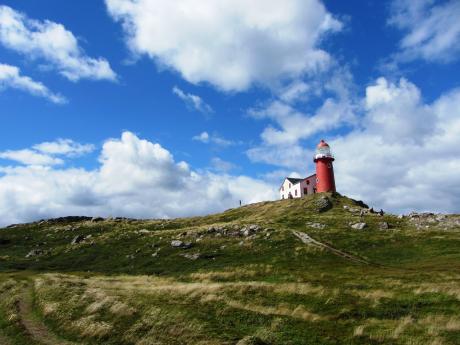 Newfoundland: Leave your Camera behind