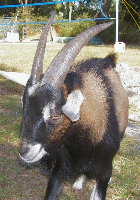 نامه های یک دبیر و یا قطره های خون ( قسمت دوم)