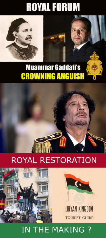 Libya's Exiled Crown Prince calls on world to stop 'massacre,' remove Gaddafi