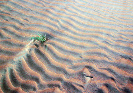 Dancing Dunes