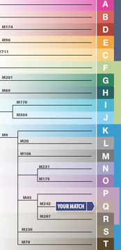 Genetics: "Iranians least similar to Europeans or other Near-Easterners"