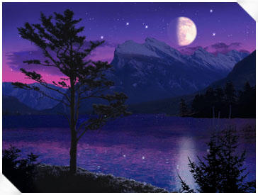 Moonlight and Stars