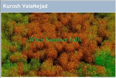 DIASPORA ARTS: Kurosh Valanejad's "When Summer Falls" 
