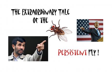 SATIRE: The Extraordinary Tale of The Persistent Fly ;0)