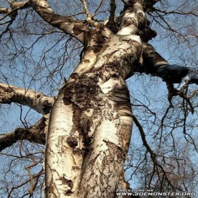  ره رهایی عشق و دوستی است و احترام به دیگران 