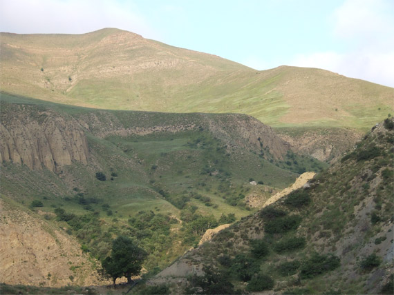 DSCF0286-01