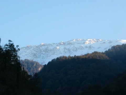IMG_1799
