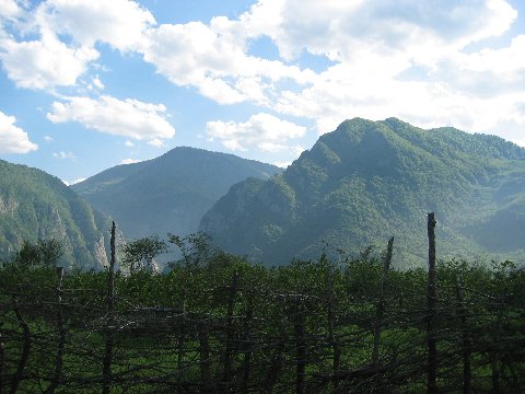 IMG_3478