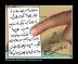 TinTin057