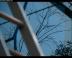 afmex031