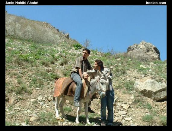 ahar026