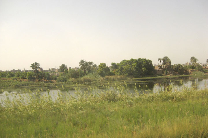 aswank002