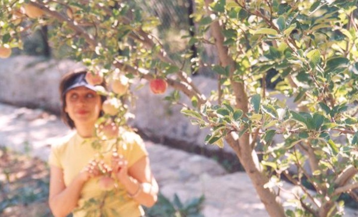 banapix042