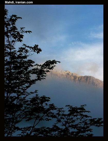 daryasar046