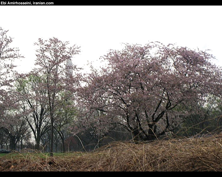 flodc003