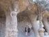 guell024