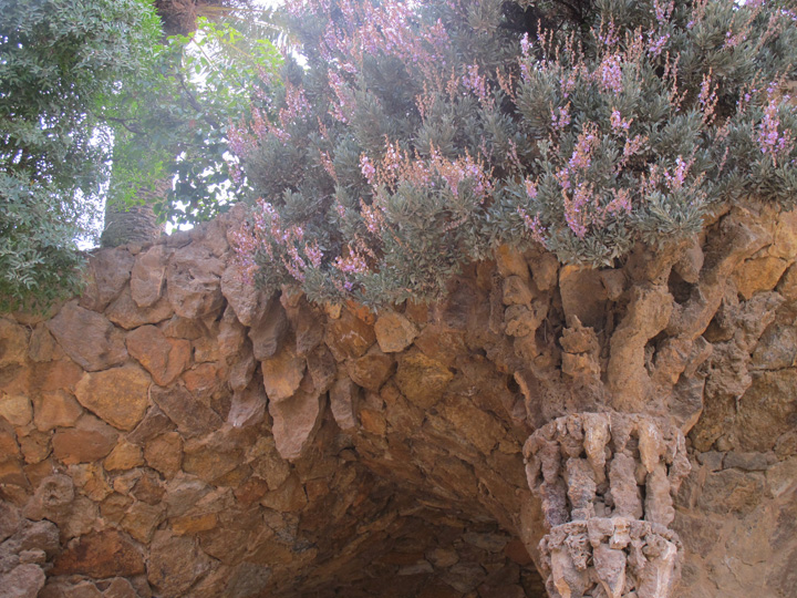 guell027