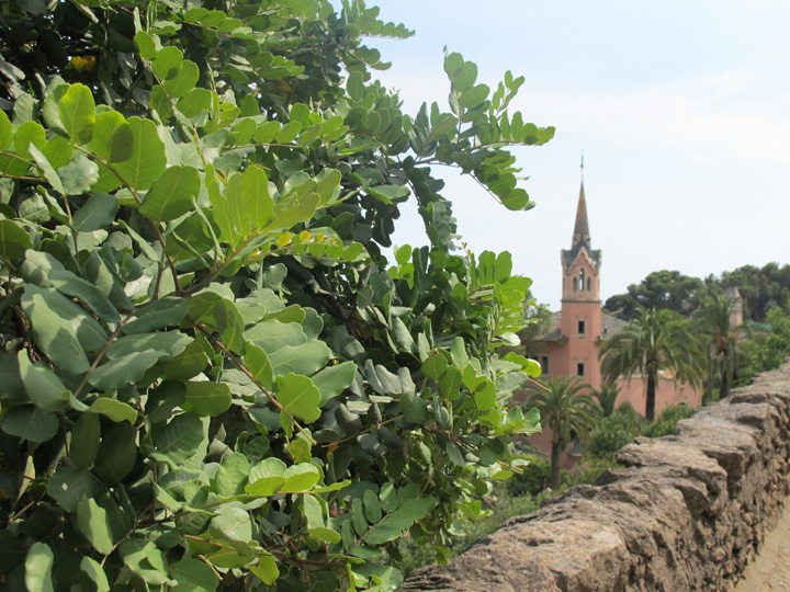 guell082