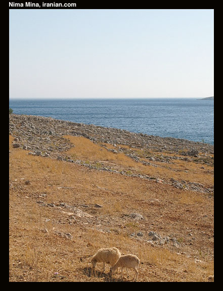 halki011