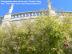 hearst032