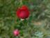 hunlib048