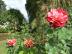 hunlib053
