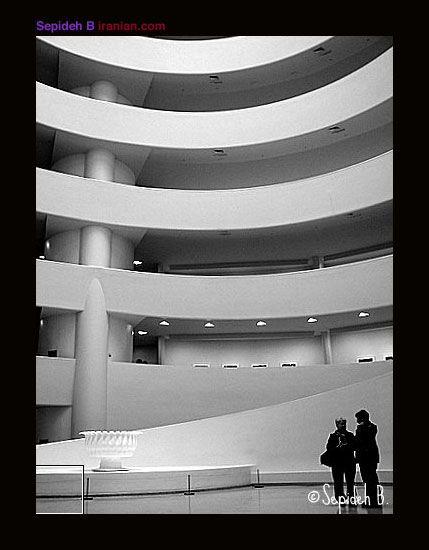 lines003