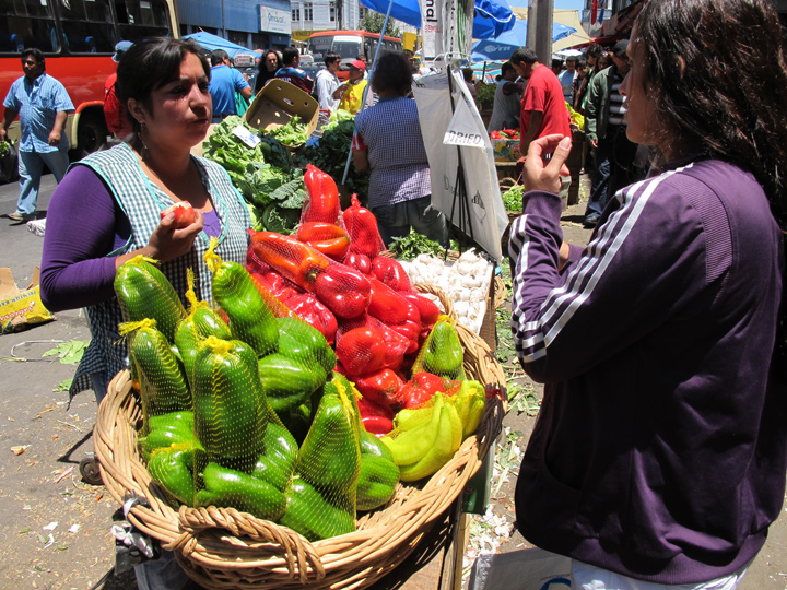 mnchile040