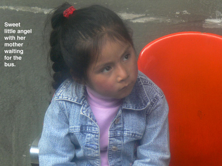 morelia008