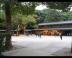 ogjap046