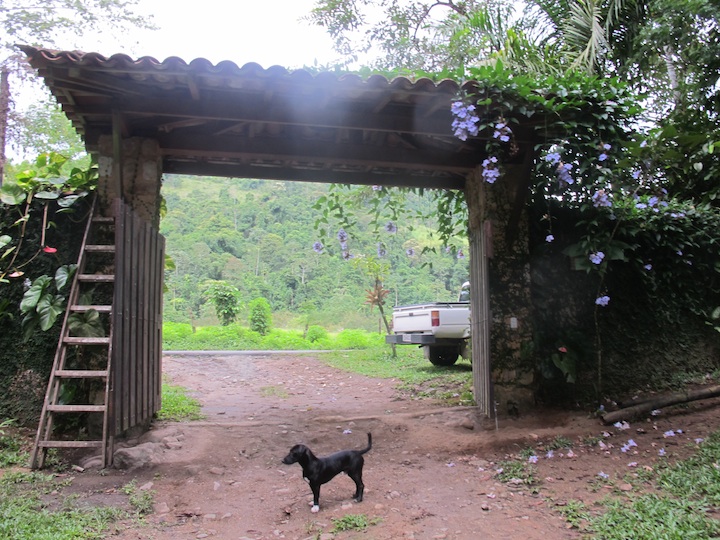 paraty009