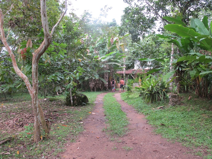 paraty045