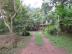 paraty045