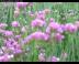 parks004a
