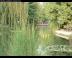 parks016