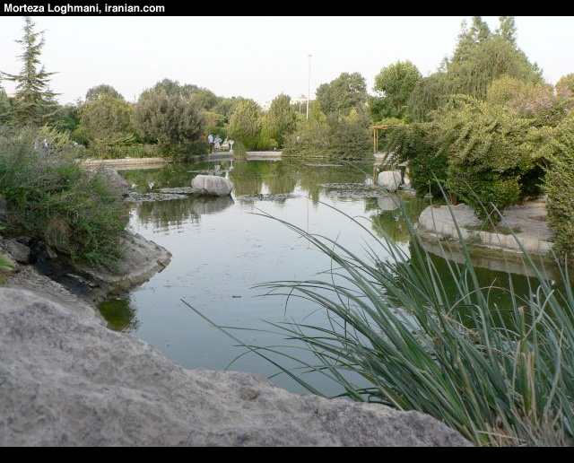 parks021