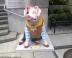 pigs012