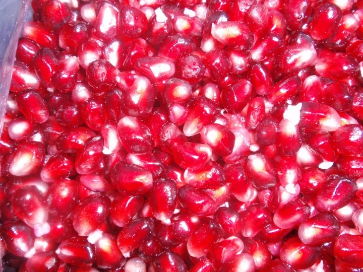 pompl040