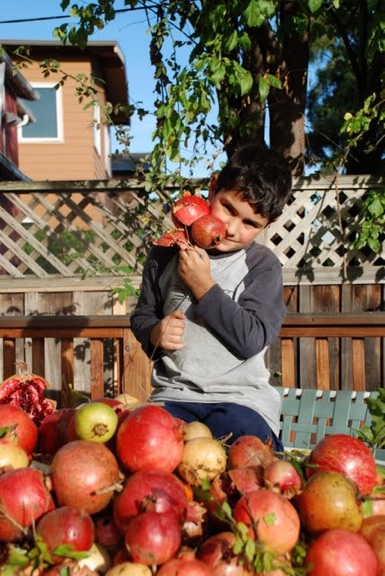 pompl045